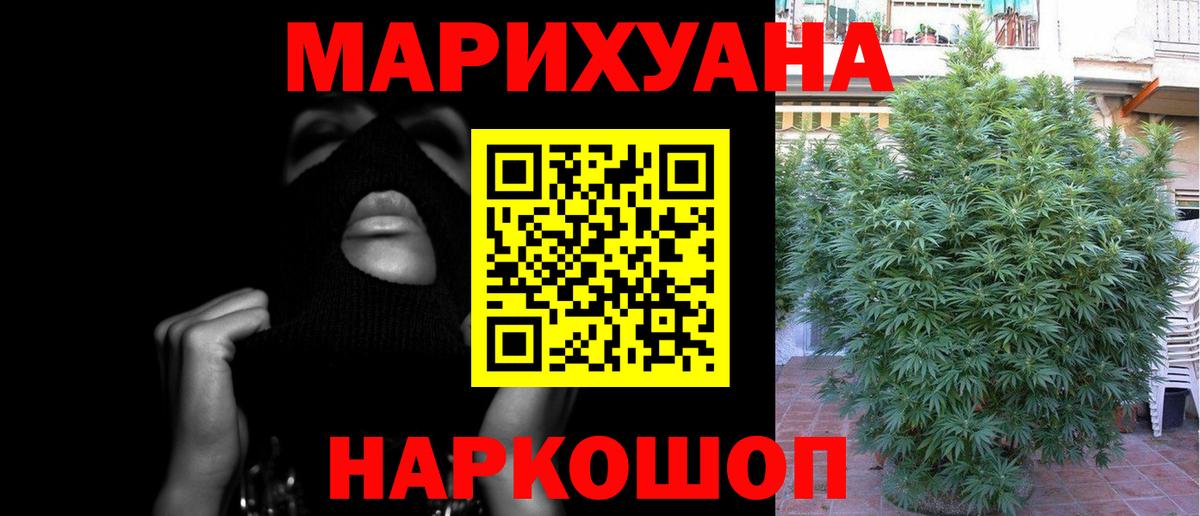 Каннабис план Люберцы